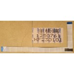 HISENSE 75A7HAU FFC CABLE 1250761
