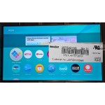 PANASONIC TH65EX780A SCREEN PANEL V650DK5-KS5