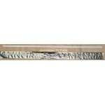 SONY KD65X8500G LED BARS (SET OF 2) (BRAND NEW)